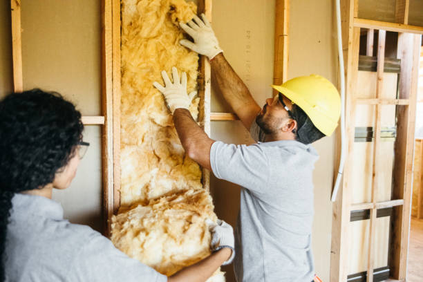 Foam Insulation Services